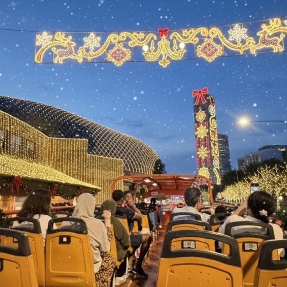 クリスマスライアップツアー